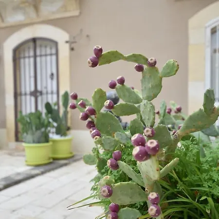 アパート La Piazzetta *